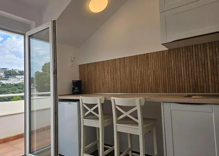 Petit 두브로브니크